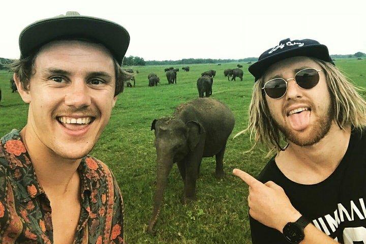 Kandy - Minneriya National park & Sigiriya Rock by tuk tuk tours