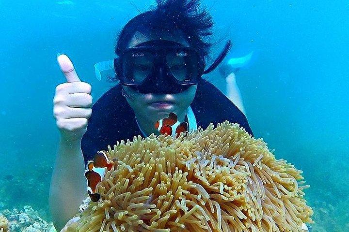 Bintan Snorkeling Tour