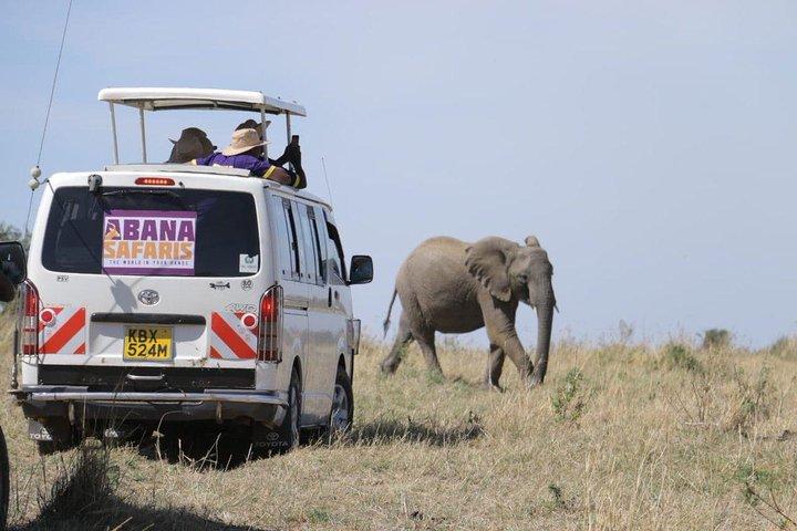 3 Days Masai Mara Safari