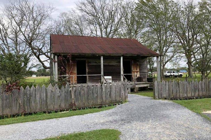 Oak Alley or Laura Plantation with Transportation From downtown