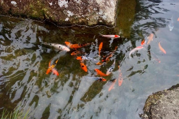 Fairy Tale Colmar Tropicale, Japanese Garden, Genting Highlands