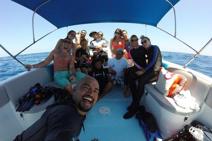 Whale Shark Encounter Full-Day all inclusive Tour from Riviera Maya