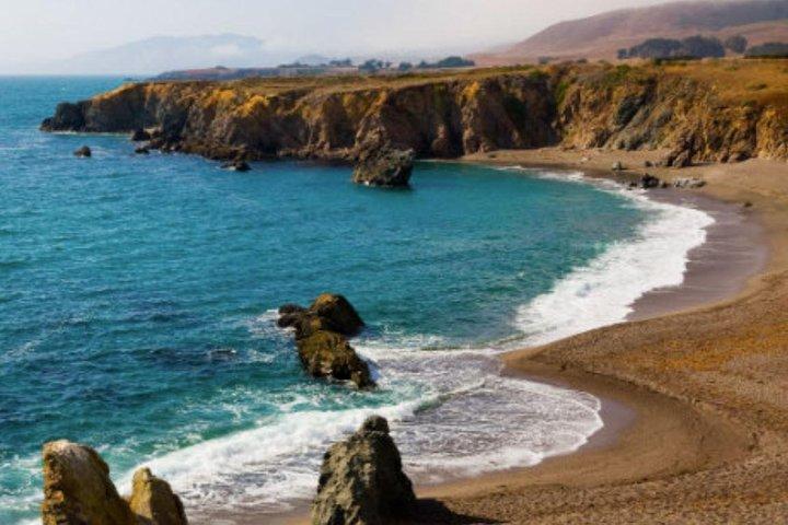 Small Group Redwoods, California Coast & Sausalito Day Trip from San Francisco