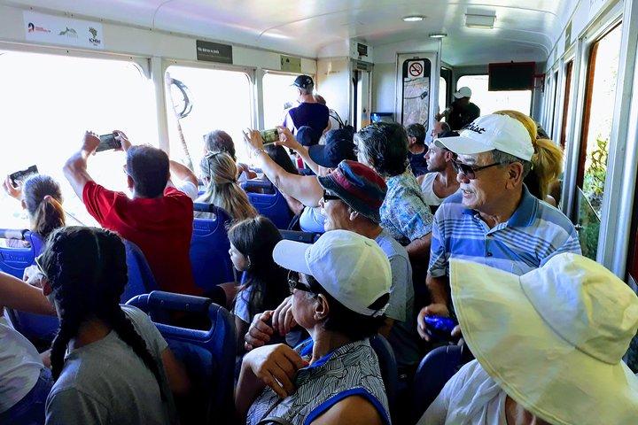 Private Tour: Rio de Janeiro Experience with Christ & Sugar Loaf