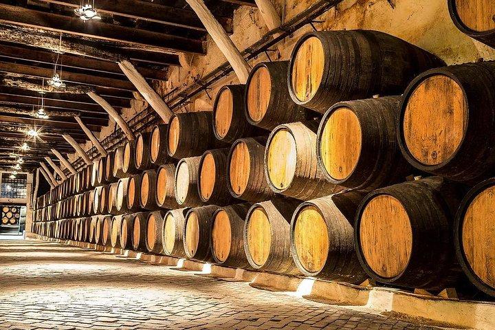 Temecula Wine Country Tour from San Diego