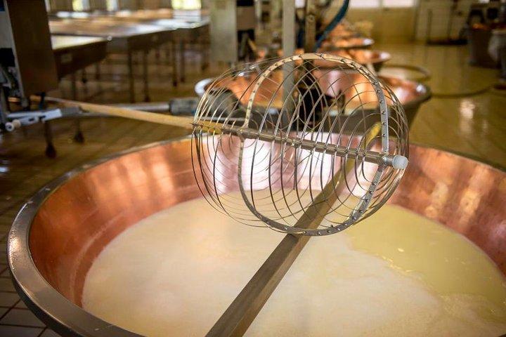 Parmigiano Reggiano Cheese Factory Tour & Tasting Experience