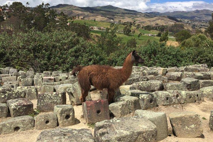 Ingapirca Inca Ruins Cultural Day Trip from Cuenca
