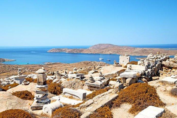 Delos Day Trip from Mykonos