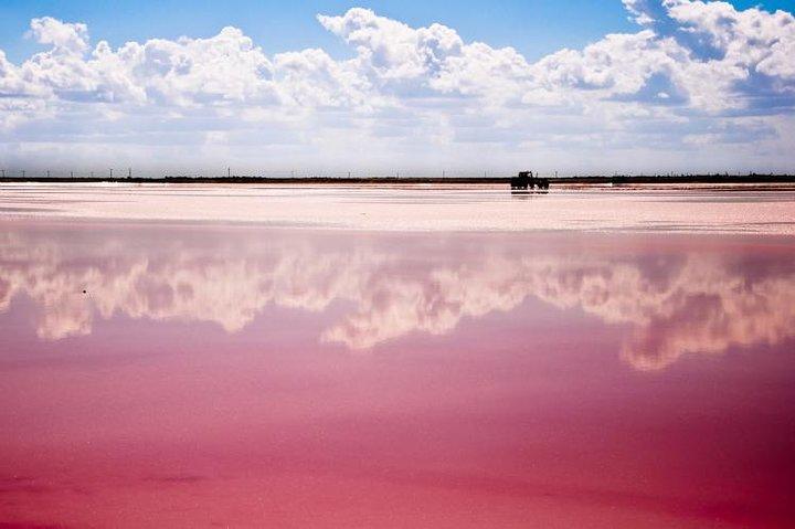 Ek Balam, Rio Lagartos and Las Coloradas Private Tour from Cancun