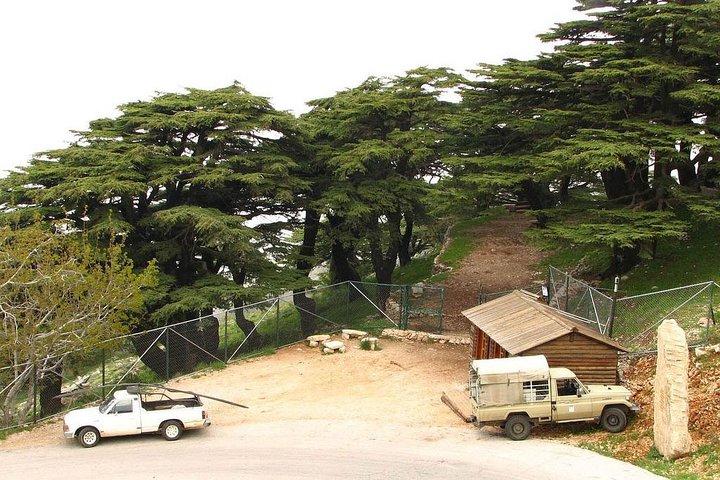 Deir el Qamar - Beiteddine Palace - Chouf Cedars From Beirut
