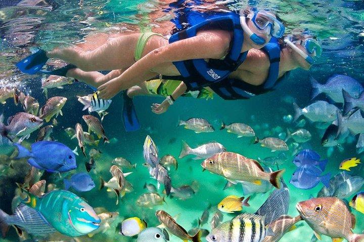 Discover Isla Mujeres tour with snorkel, buffet and open bar