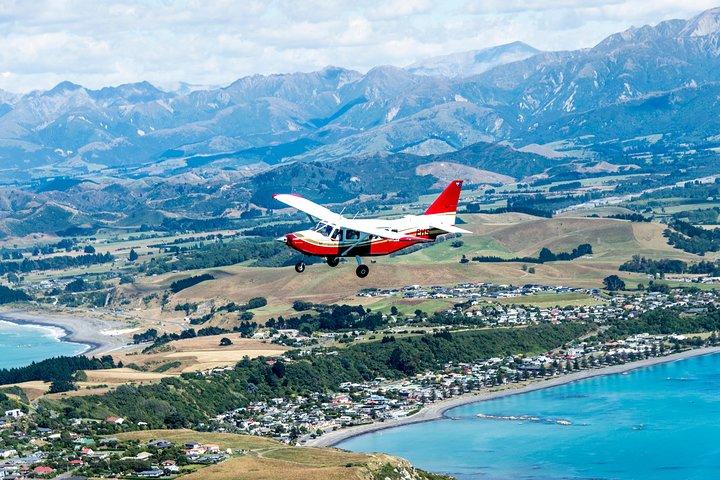 Kaikoura: Whale Watching Flight