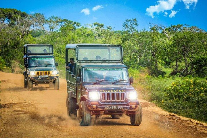 Ella Hotel to Yala National Park Transfers