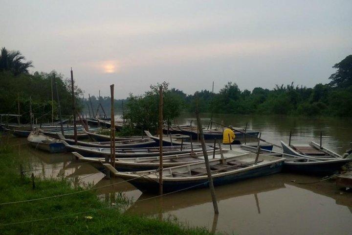 Unforgetable Touch, Eagle & Fireflies Watching (Private Tour)