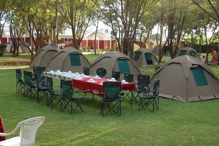 5Days Tanzania Camping Safari to Lake Manyara Serengeti And Ngorongoro Crater from Arusha