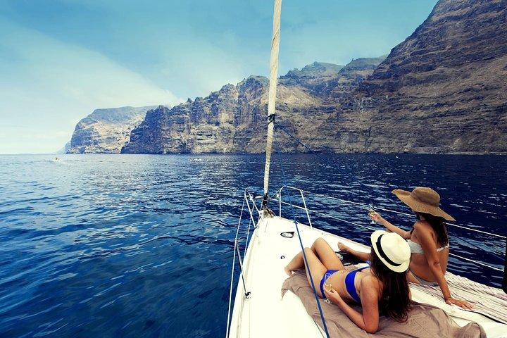 Whales and Dolphins Watching in Exclusive Sailboat