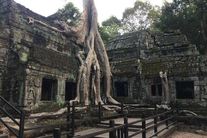 Private Angkor Wat Sunrise Bayon Ta Prohm by bike