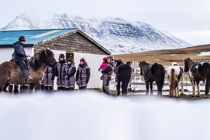 The Viking Horse Riding Experience in North Iceland