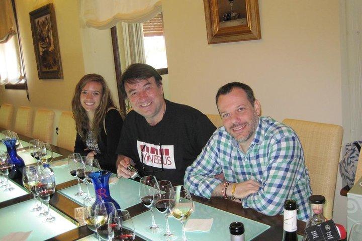 Windmills of Don Quixote Wine Tour & Tasting from Madrid