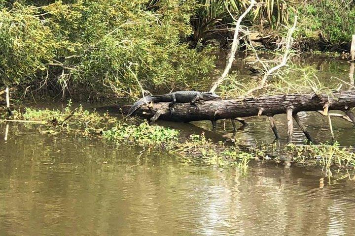 Oak Alley Plantation and Small Airboat Tour from New Orleans