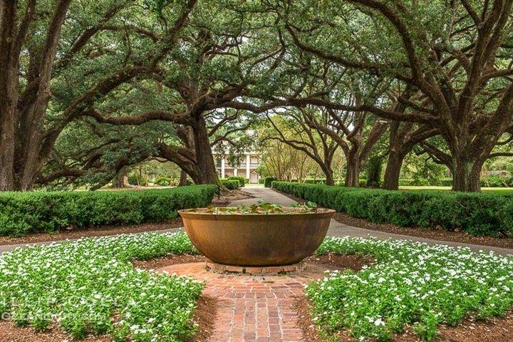 Oak Alley Plantation and Swamp Boat Tour from New Orleans