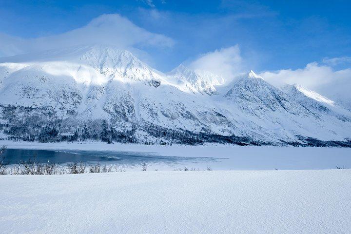 Fjord, Mountain and Wildlife Tour