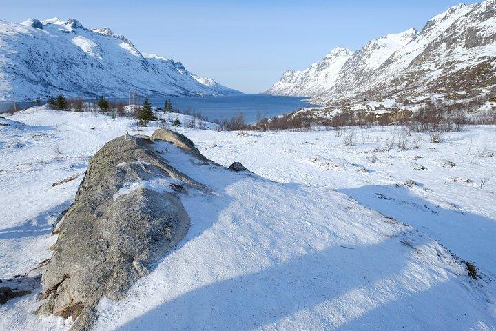 Fjord, Mountain and Wildlife Tour