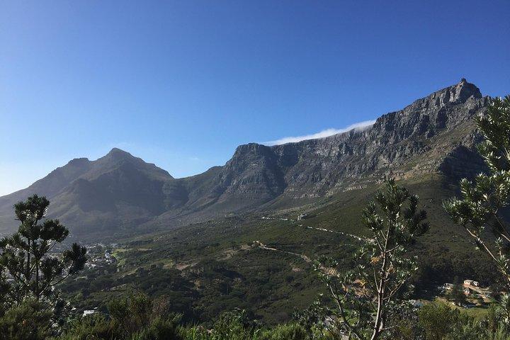 Table Mountain Hike (All routes) - Private Tour