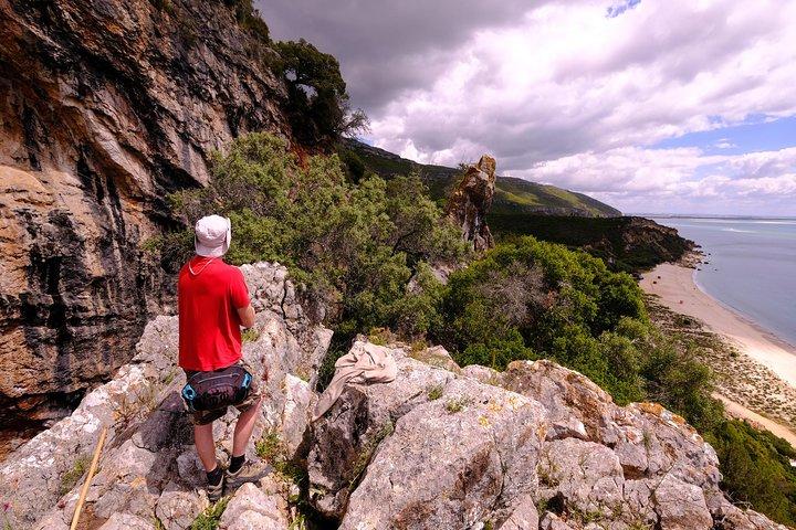 Discover Sintra's Hidden Trails: A Unique Hiking Experience