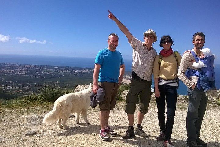 Discover Sintra's Hidden Trails: A Unique Hiking Experience
