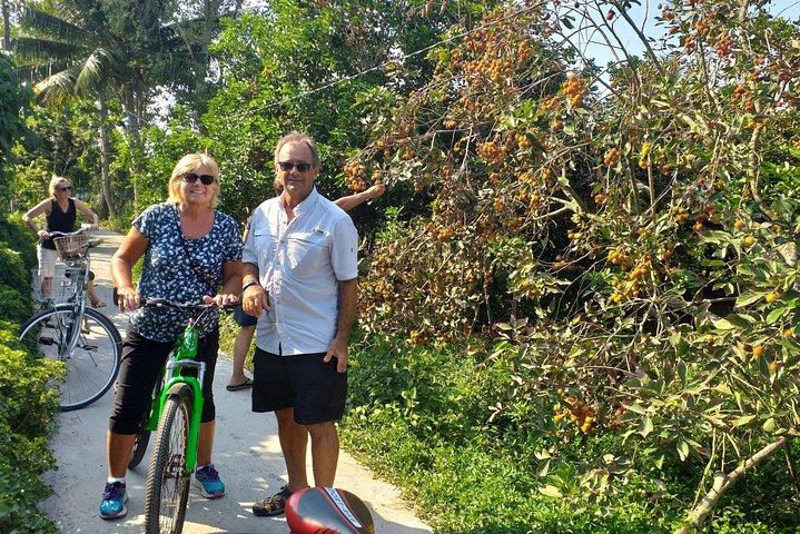 1-Day Mekong Delta Tour: Less-Touristy Cai Be & Vinh Long(Max 10)