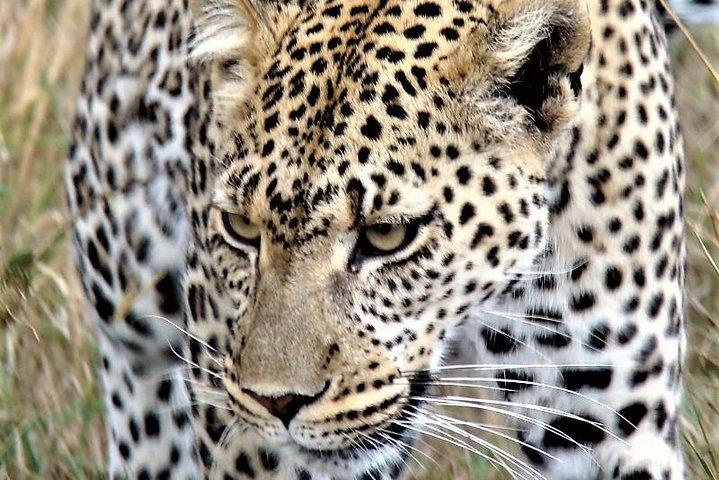 Five Days- Arusha-lake Manyara- Ngorngoro-serengeti (classic)