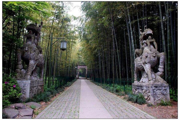 Half-Day Hangzhou Yunxi Bamboo Forest and Tea Plantation Experience