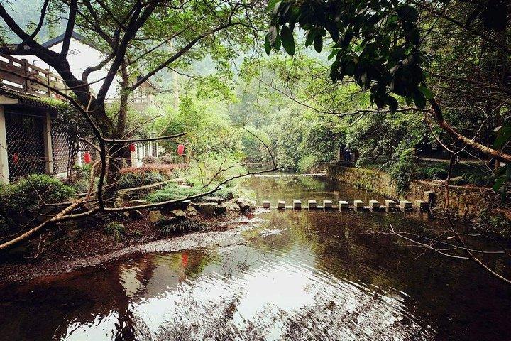 Hangzhou Jiuxi and Hupao Spring Hiking Day Trip from Shanghai by Bullet Train