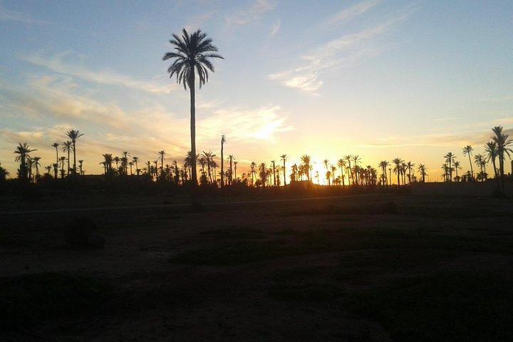 Sunset Camel Ride Marrakech with Transfers