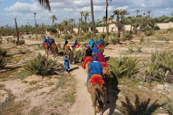Camel Ride & Quad Bike tours in the palm grove of Marrakech