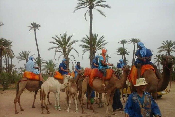 Camel ride Marrakech