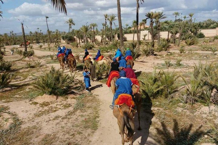 Camel ride Marrakech