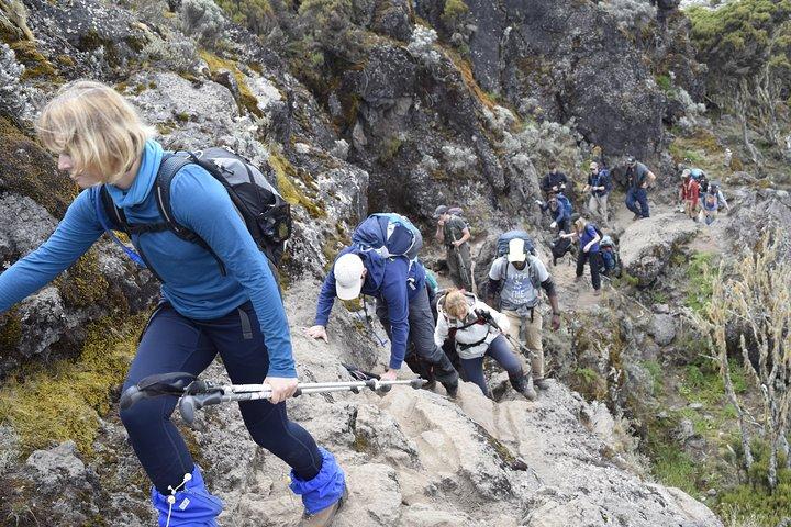 Machame Route 6 days 5 Nights/Kilimanjaro Climb