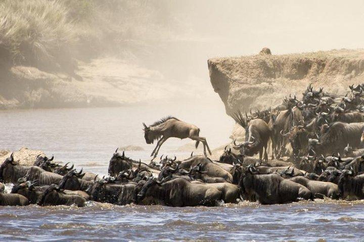 5 Days 4 Nights Tarangire, Serengeti , Ngorongoro & Manyara Wildlife Safari