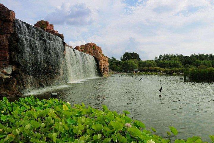 Small-Group Tour in Summer: Harbin Sun Island, Indoor Ice and Snow World