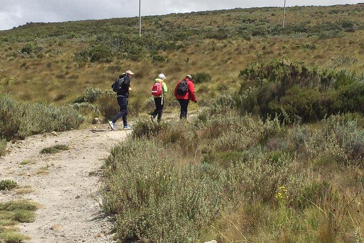 Mt Kenya Day hike from Nairobi