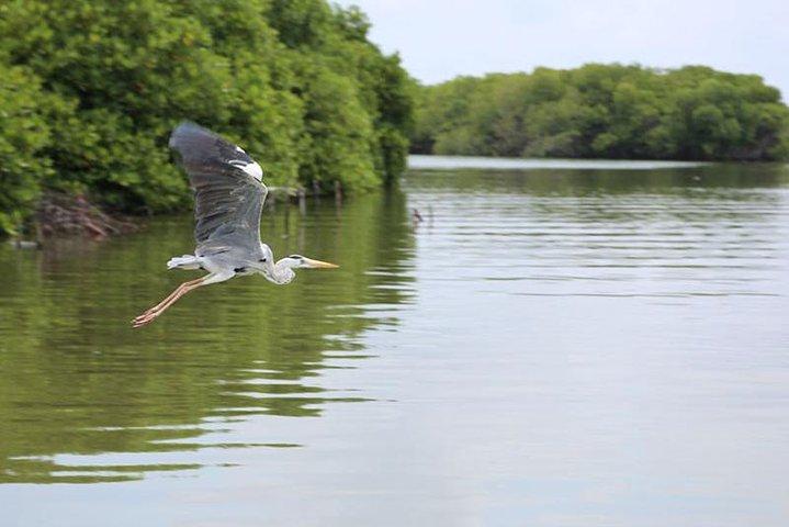 Lagoon Escapes Negombo Day Trip