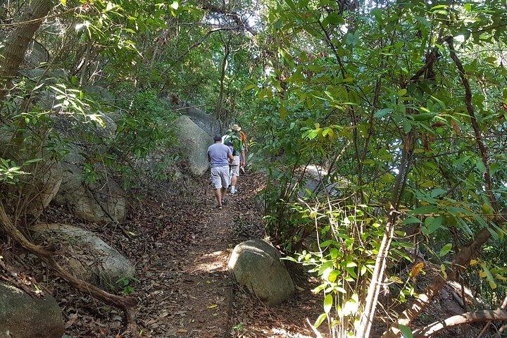 Half Day Tour Hiking La Roqueta Island No Lunch