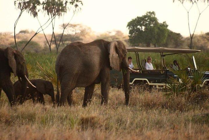 Amboseli Safari Special