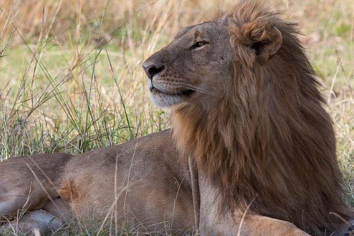 Amboseli Safari Special