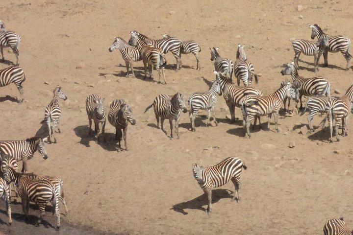 Amboseli National Park Full Day Tour from Nairobi