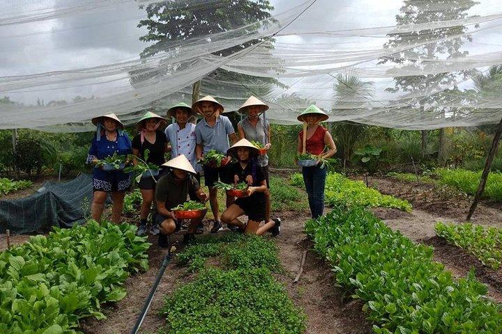 Unique farm to Table cooking class in Saigon