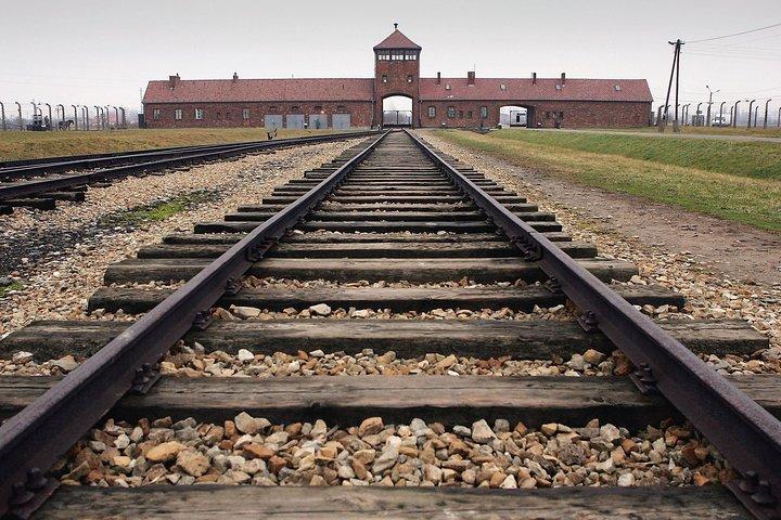 From Krakow: Auschwitz-Birkenau Guided Tour (hotel pick up)