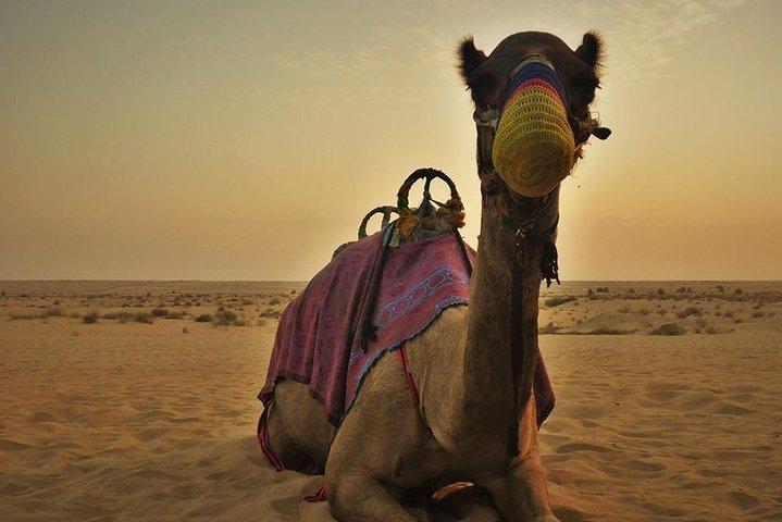 Dubai Red Dunes Safari